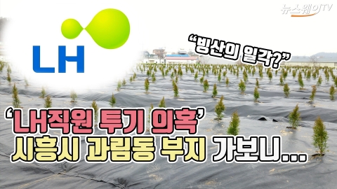 ‘LH직원 투기 의혹’ 시흥시 과림동 부지 가보니...