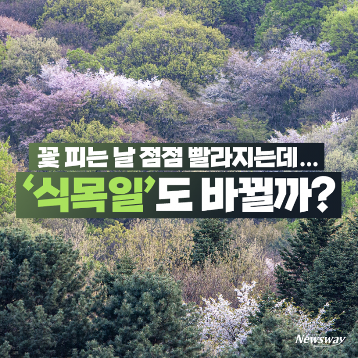 꽃 피는 날 점점 빨라지는데···‘식목일’도 바뀔까? 기사의 사진