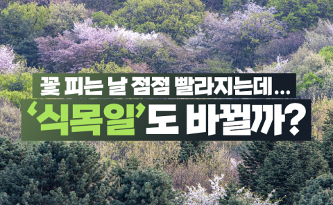 꽃 피는 날 점점 빨라지는데···‘식목일’도 바뀔까?