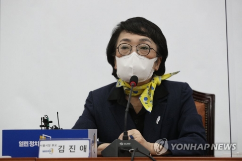 김진애 비서 음주운전 방조 혐의 입건···“곧장 면직 처리”
