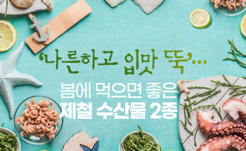 ‘나른하고 입맛 뚝’···봄에 먹으면 좋은 제철 수산물 2종