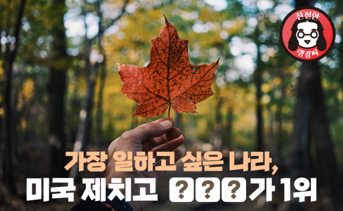 가장 일하고 싶은 나라, 미국 제치고 ○○○가 1위···한국은? 기사의 사진