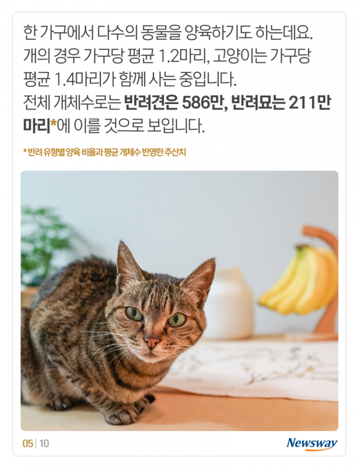 개 고양이 키우는 데 한 달에 이만큼 들어요 기사의 사진