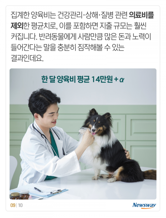 개 고양이 키우는 데 한 달에 이만큼 들어요 기사의 사진