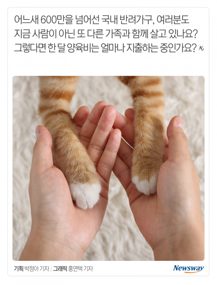 개 고양이 키우는 데 한 달에 이만큼 들어요 기사의 사진