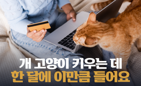 개 고양이 키우는 데 한 달에 이만큼 들어요