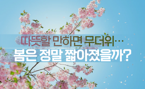 따뜻할 만하면 무더위···봄은 정말 짧아졌을까?