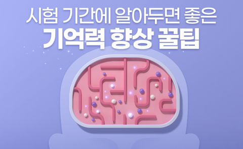시험 기간에 알아두면 좋은 기억력 향상 꿀팁