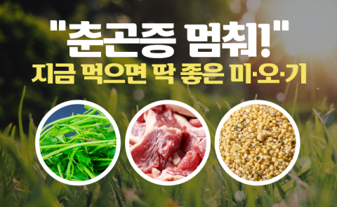 “춘곤증 멈춰!” 지금 먹으면 딱 좋은 ‘미·오·기’