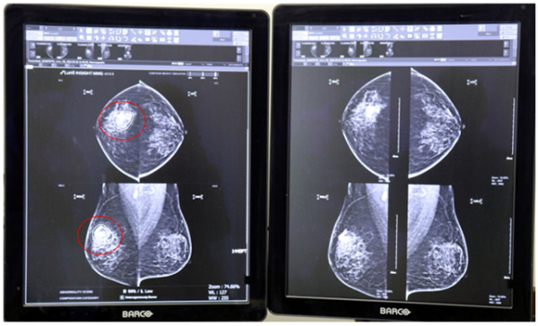 사진제공=한국건강관리협회 대구지부