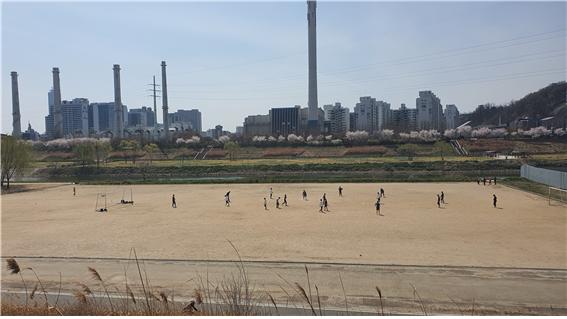 영등포구, 안양천 갈대3구장 인조잔디 조성 공사 착공