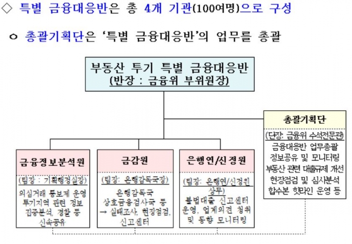 부동산 투기 특별 금융대응반 및 총괄기획단 구성. 자료=금융위원회