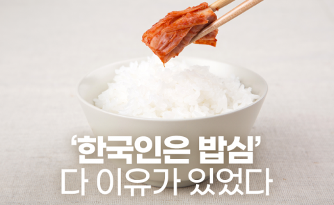 ‘한국인은 밥심’ 다 이유가 있었다