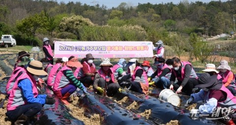 (사)농가주부모임 광주시연합회, 정기총회 및 농촌일손돕기