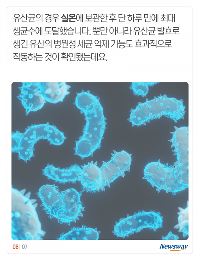 갓 담근 김치, 하루는 실온에 둬야 하는 이유 기사의 사진