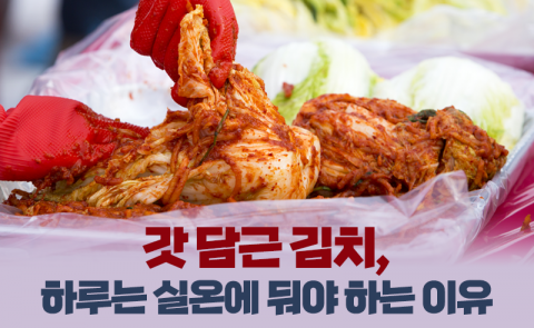 갓 담근 김치, 하루는 실온에 둬야 하는 이유