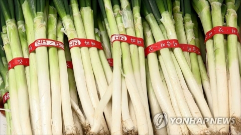 대파·달걀 가격 점차 안정세···고깃값은 여전히 상승세