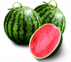 사진=이마트 제공