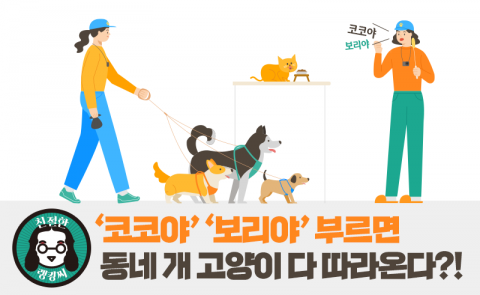  “같이 사는 ‘댕냥이’ 이름이 뭐예요?” 물어보니