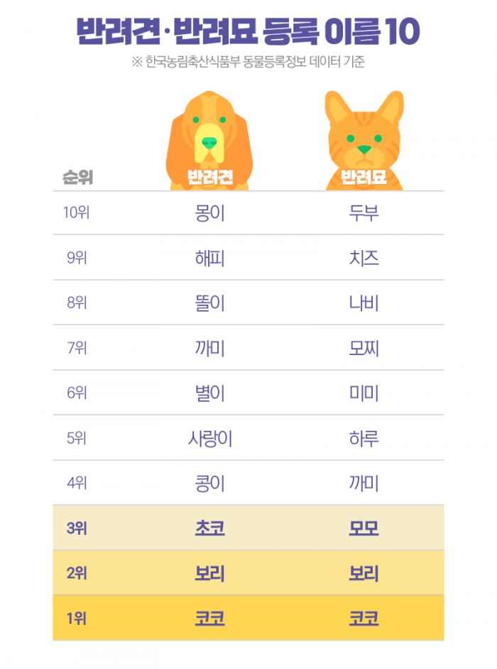  “같이 사는 ‘댕냥이’ 이름이 뭐예요?” 물어보니 기사의 사진