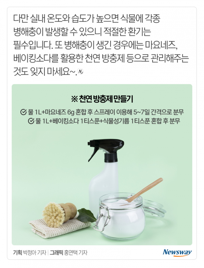 ‘파테크’ 하는 김에 다른 채소도 ‘테크’ 해볼까? 기사의 사진