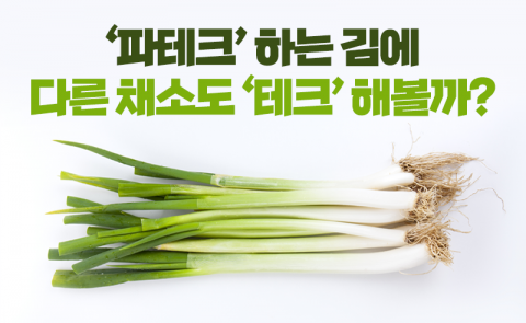 ‘파테크’ 하는 김에 다른 채소도 ‘테크’ 해볼까?