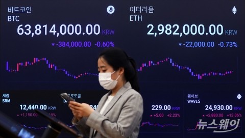 국회입법조사처 “정부, 가상자산 컨트롤타워부터 세워야”