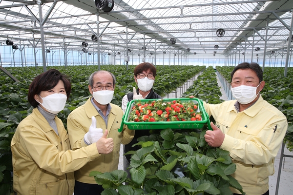 “농사만 지어도 부자될 수 있다” 기사의 사진