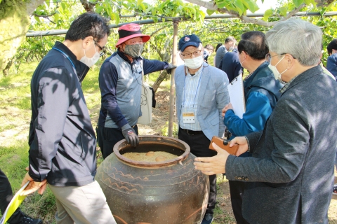 ‘나주 배’ 국가중요농업유산 지정 잰걸음
