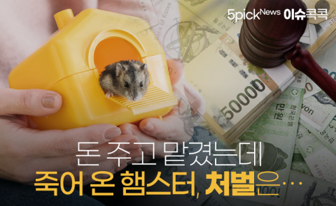 돈 주고 맡겼는데 죽어서 온 햄스터, 처벌은···