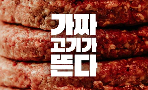 가짜 고기가 뜬다
