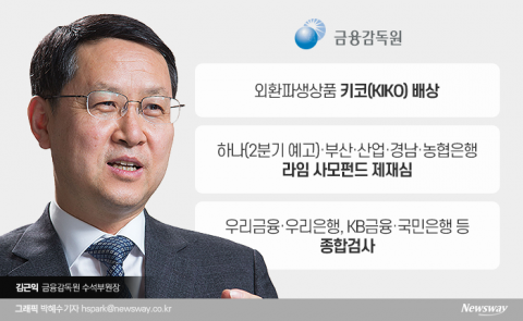 김근익 금감원장 대행 “은행권 종합검사, 사모펀드 제재·조정 일정대로”
