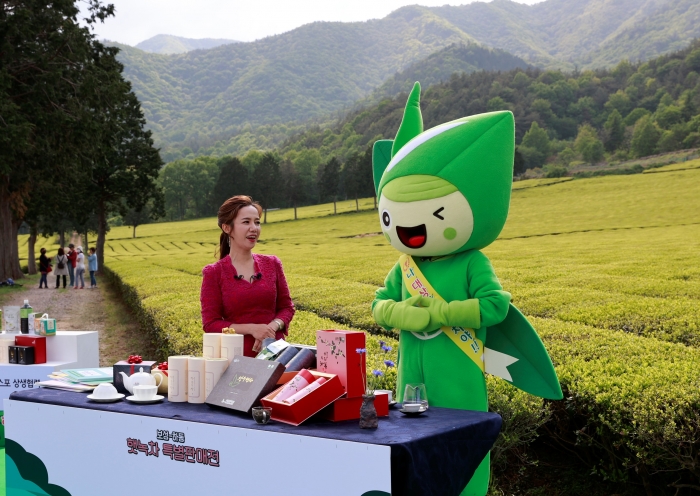 보성군이 4월 보성 햇차 라이브커머스를 진행하고 있다.