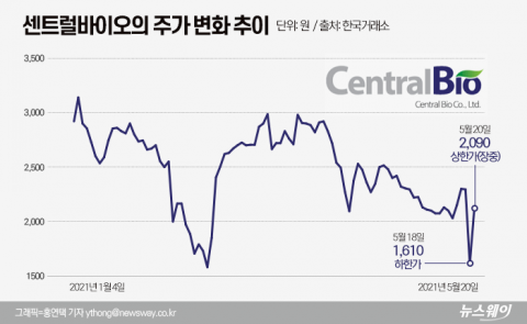 어제는 하한가, 오늘은 상한가···천당 지옥 오간 센트럴바이오에 무슨 일이