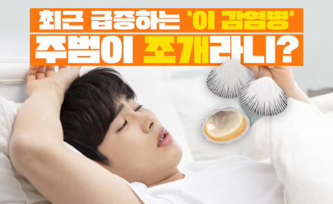 최근 급증하는 ‘이 감염병’···주범이 조개라니?
