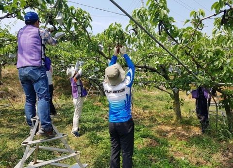 나주시, 영농철 인력난 해소 ‘일손돕기 창구’ 운영