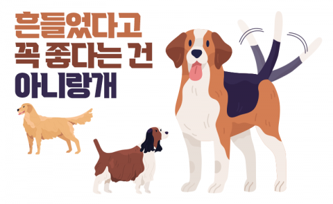 흔들었다고 꼭 좋다는 건 아니에요