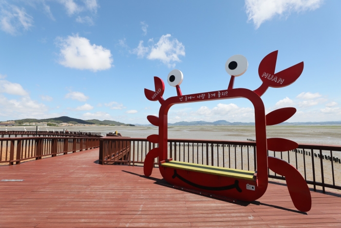 전남도 6월 추천 여행지, 무안황토갯버랜드(갯벌공원)