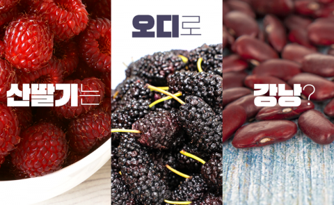 ‘산딸기’는 ‘오디’로 ‘강낭’?