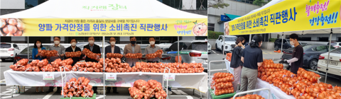 농협광주본부, 양파 소비촉진 캠페인 전개