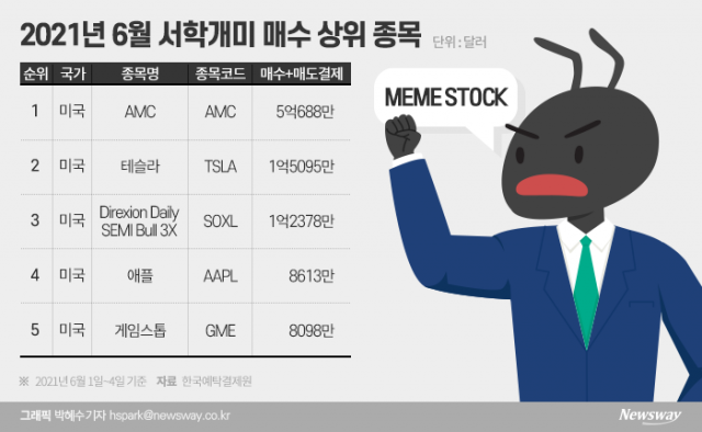 롤러코스터 타는 밈 주식...美 SEC 시세조종 여부 조사