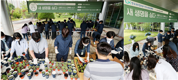 LX공사 임직원들이 환경의 날을 맞아 친환경 컵에 다육이를 심는 탄소중립 캠페인을 펼치고 있다.