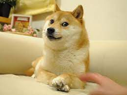 사진=연합뉴스 제공