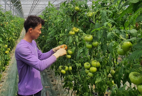 사진제공=경북도