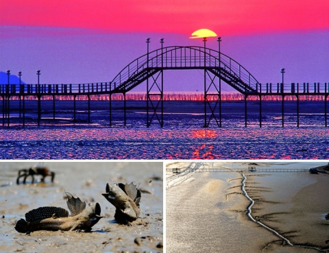 ‘찾아가고 싶은 33섬’에  전남 15곳 선정