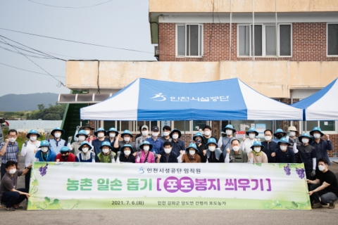 인천시설공단, 강화 포도 농가 일손돕기 나서