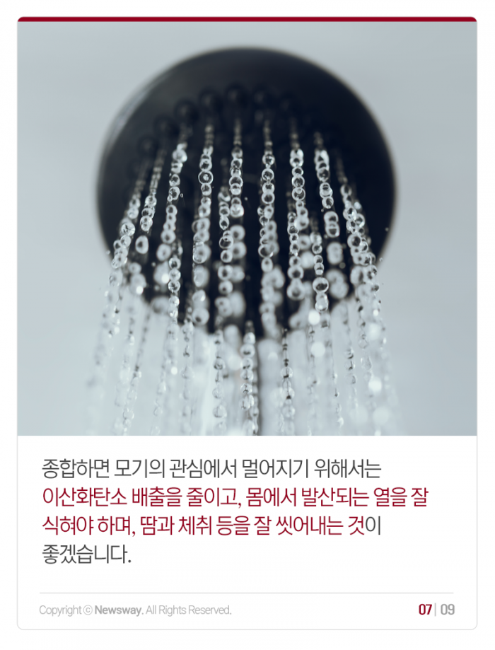 모기는 왜 나만 좋아할까 기사의 사진