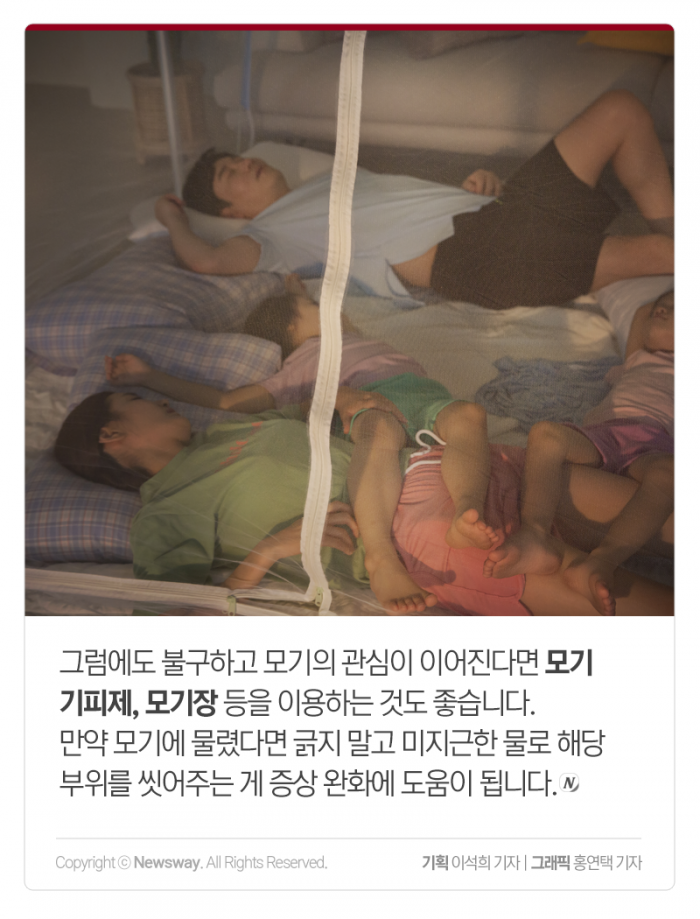 모기는 왜 나만 좋아할까 기사의 사진