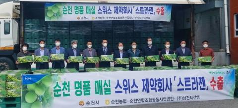 전남농협, 순천 명품매실 ‘천매’ 유럽시장 첫 수출
