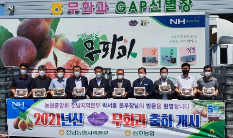 전남농협, 전남 과실 공동브랜드 ‘상큼애 무화과’ 본격 출하